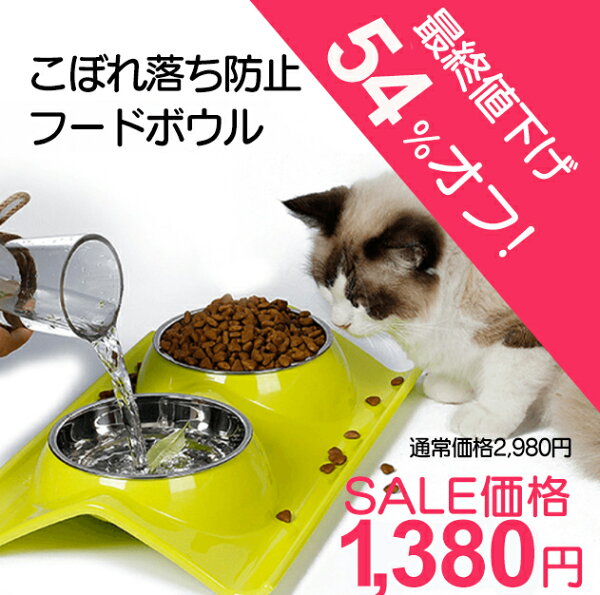 フードも給水もこれひとつ。ダブルディッシュのこぼれ防止食器を暮らし目線でチェック