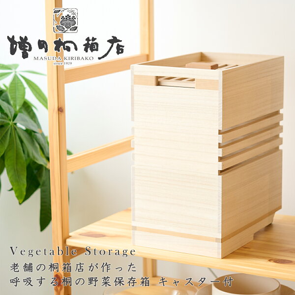 野菜保存箱の置き場所はどこ？玄関・キッチン・洗面所まで、暮らし目線で見てみた