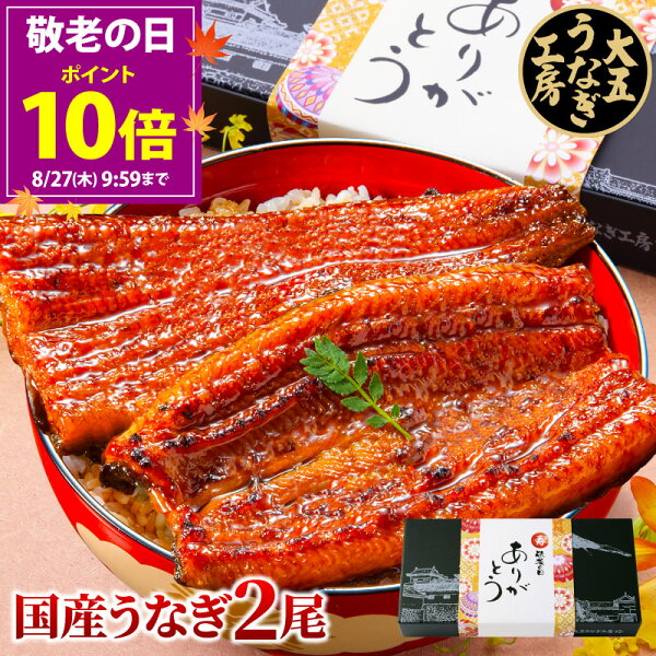 国産うなぎ長蒲焼2尾ギフトを贈り物目線でチェック