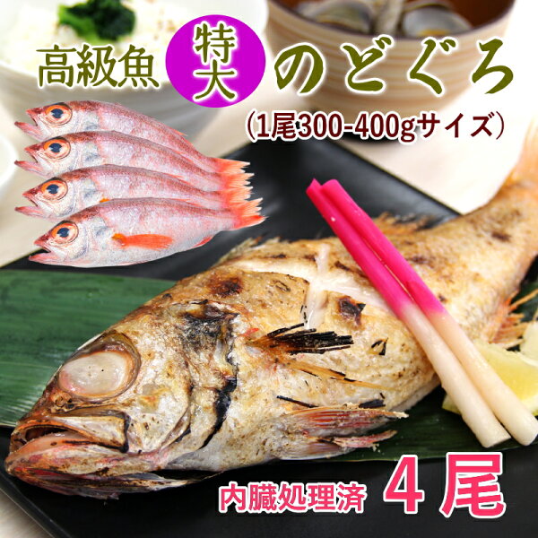 特大のどぐろ4尾セットをチェック｜300〜400g・下処理済みの冷凍魚