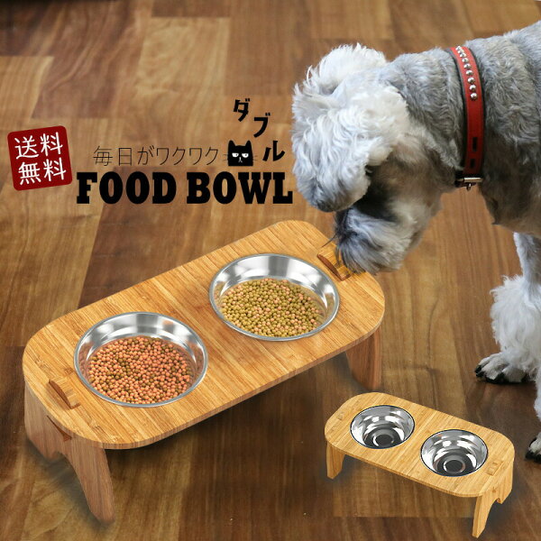 高さと15°斜めでどう選ぶ？犬猫のフードボウルスタンドを暮らし目線でチェック